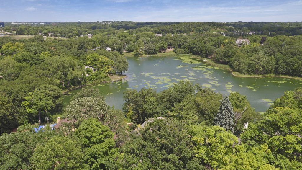 Homes for Sale in Indian Hills Neighborhood - Edina Real Estate