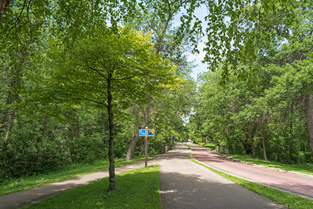 Tangletown Homes for Sale Minneapolis Real Estate