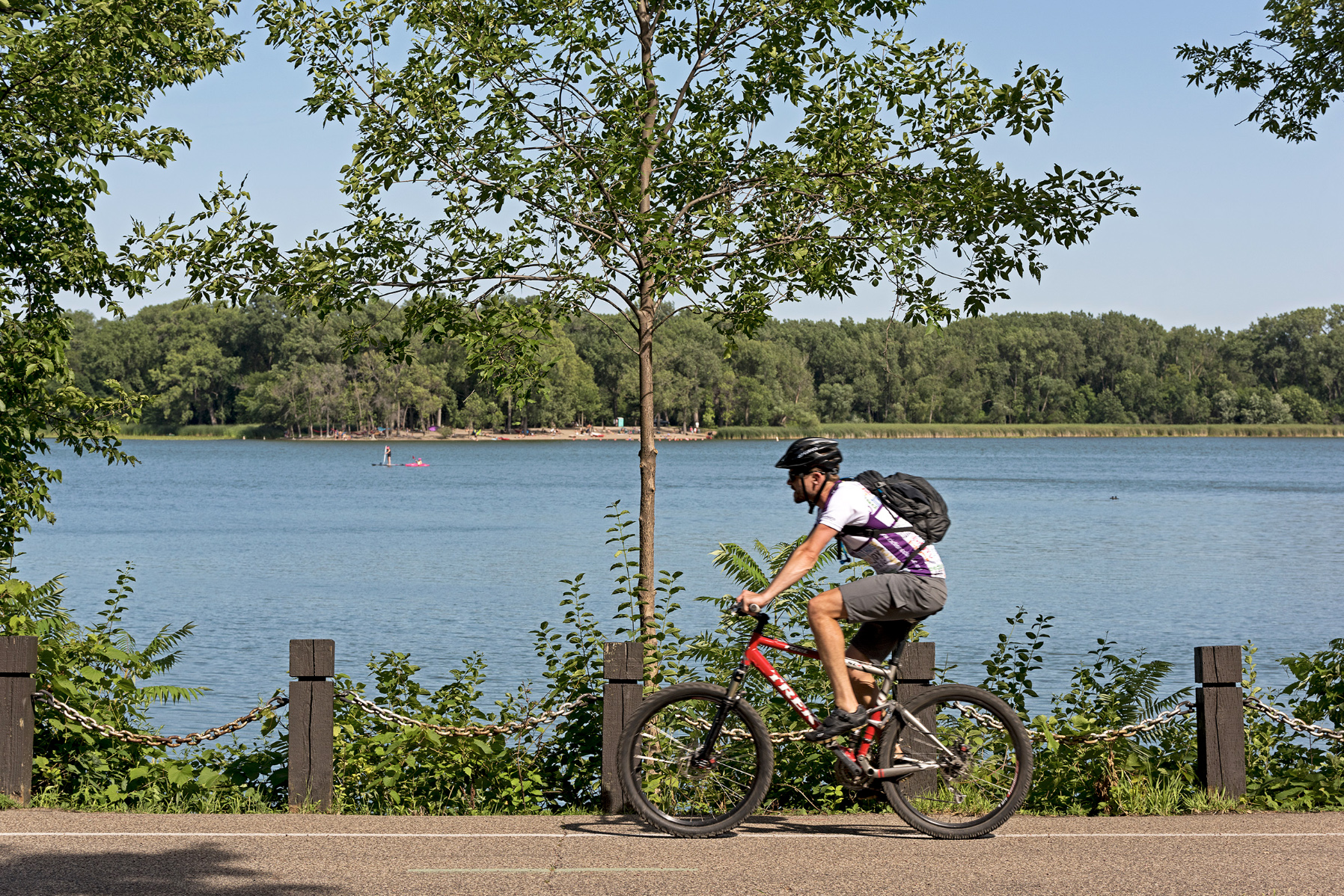 CedarIslesDean Homes for Sale Minneapolis Real Estate