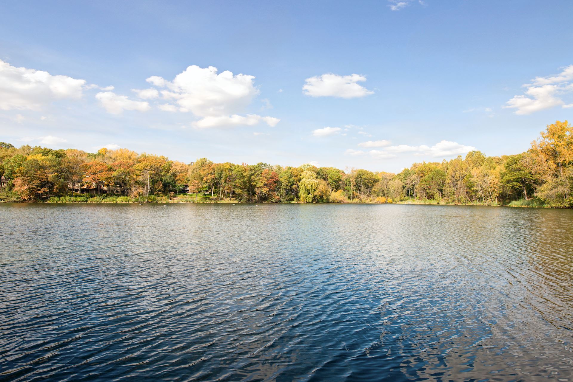 About Twin Cities and Surrounding Areas Real Estate