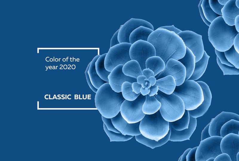 Pantone's 2020 Color of the Year is Pantone Blue